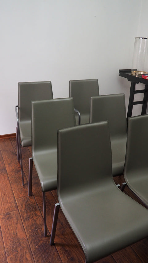 Zoe Armchair Ligne Roset - Deri Sandalye
