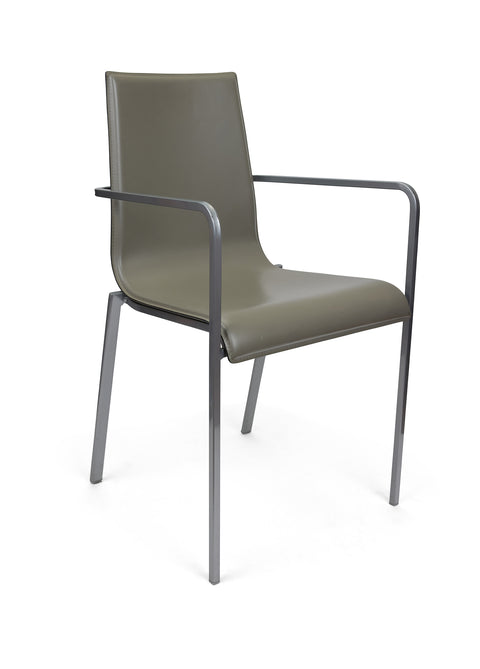Zoe Armchair Ligne Roset - Deri Sandalye
