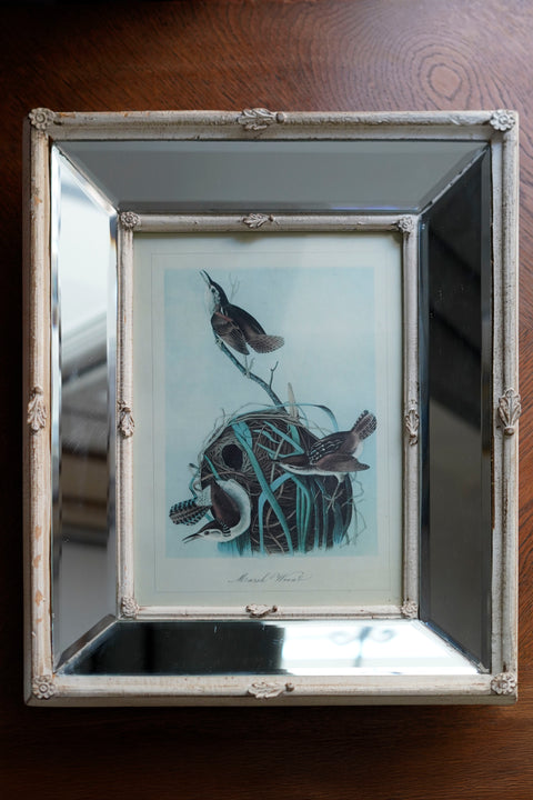 Birds of America'dan Baskı ve Two's Company Aynalı Çerçeve